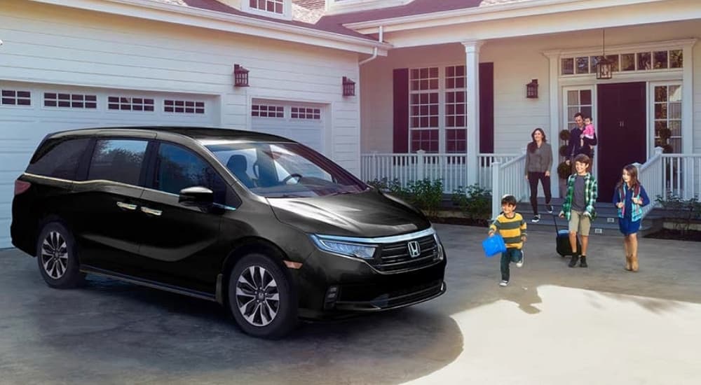 A 2026 black Honda Odyssey parked in a driveway