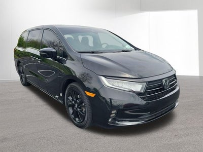 2024 Honda Odyssey Sport