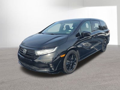 2023 Honda Odyssey Sport