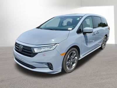 2024 Honda Odyssey Elite