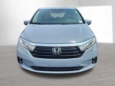 2024 Honda Odyssey Elite