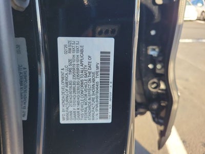 2026 Honda Odyssey Elite