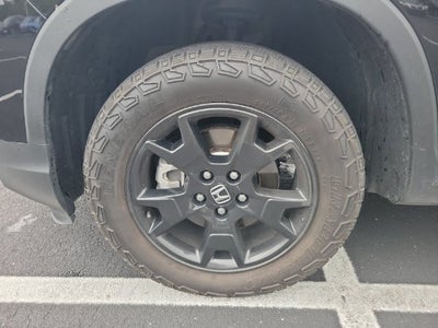 2024 Honda Passport TrailSport