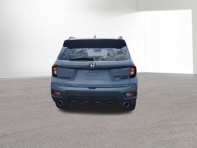 2024 Honda Passport Black Edition
