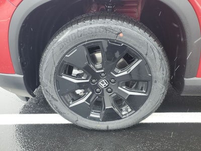 2026 Honda Pilot Black Edition