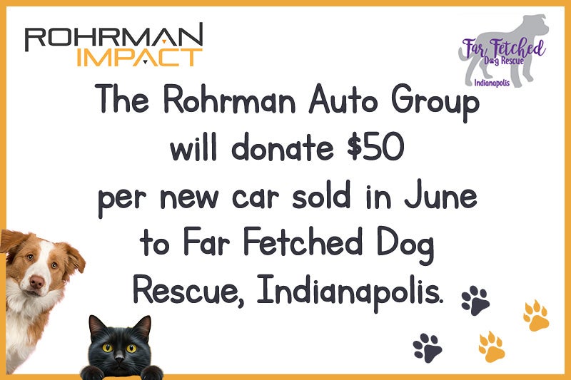 June Fundraiser for Far Fetched Dog Rescue, Indianapolis